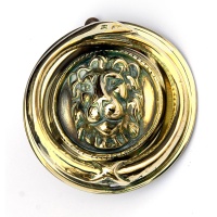 Polished Cast Brass Lions Head Door Knocker